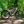 Falcon Horizon Crossbar (19