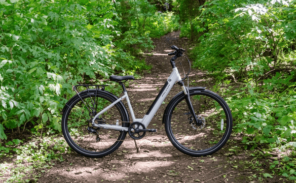 Falcon Horizon Low Step (17") Electric Bike 250W (2025)