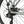Falcon Liberty Crossbar Electric Hybrid Bike 250W