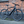 Falcon Zone Single Speed Electric Hybrid Bike 250W