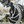 Himiway D7 (Cobra) Full Suspension Electric Fat Tyre Mountain Bike 250W