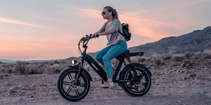 Himiway Escape Pro Moped-Style Long Range Electric Bike 250W