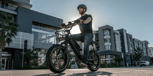 Himiway Escape Pro Moped-Style Long Range Electric Bike 250W