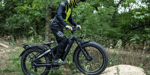 Himiway Zebra (D5) Premium All-Terrain Electric Fat Bike 250W