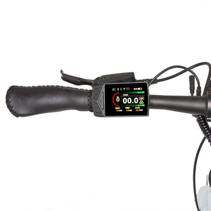 Close-up of the Hygge Lossø e-bike's handlebar-mounted LCD display showing speed and battery life.