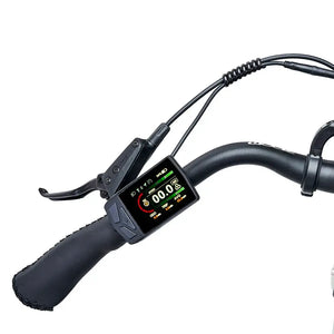 LCD display and control unit on Hygge Lossø electric bike showing speed, battery level and ride data.