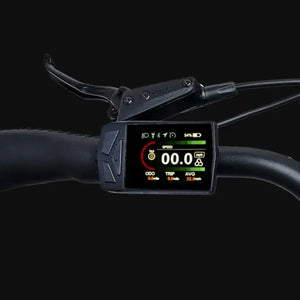 LCD dashboard display on Hygge Lossø electric bike showing speed, battery level and ride metrics.