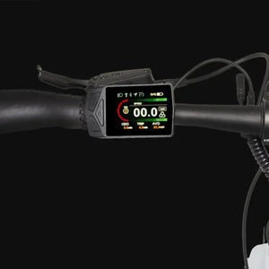 LCD display and control panel on the Hygge Lossø Commuter Hybrid Electric Bike 250W showing speed and battery information.