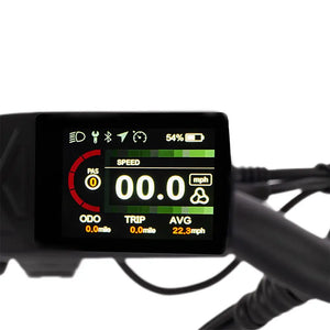 Hygge Vester electric bike LCD display showing speed, battery level, trip data and pedal assist settings.