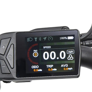 Hygge Virum folding ebike color LCD display showing speed PAS level odometer and battery at 100 percent.