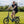 Rider cycling Hygge Virum folding electric bike across open field showing comfort and versatility for everyday use.