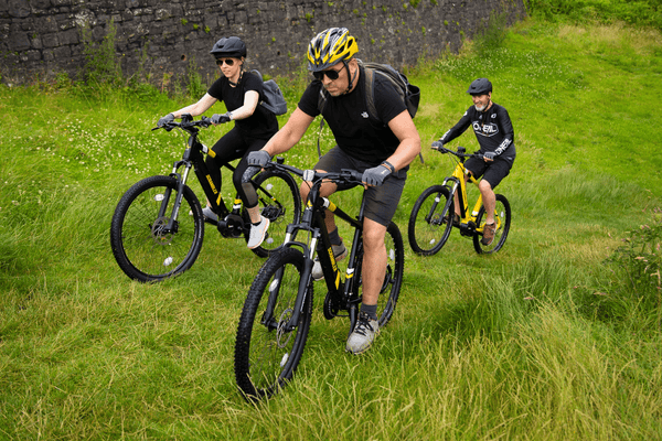 Mark2 Scrambler Lightweight Hardtail eMTB 250W