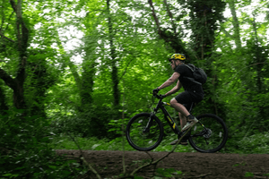 Mark2 Scrambler Lightweight Hardtail eMTB 250W