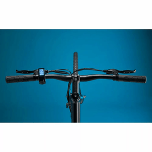 Pure Flux One Single Speed Electric Hybrid Bike 250W