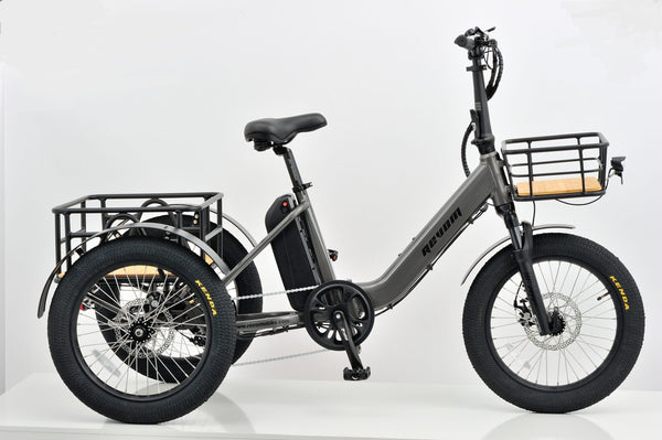 Revom T1F Folding Urban Electric Tricycle Cargo Bike 250W