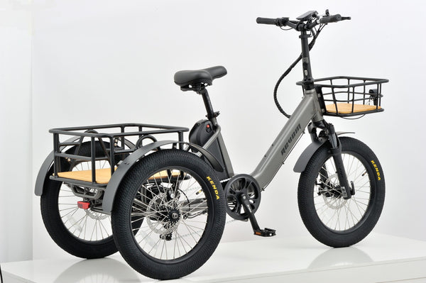 Revom T1F Folding Urban Electric Tricycle Cargo Bike 250W