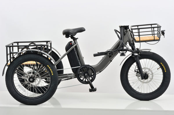 Revom T1F Folding Urban Electric Tricycle Cargo Bike 250W