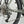 Close up of the Shimano Altus 9 speed derailleur and cassette on the Revom T5 electric trike