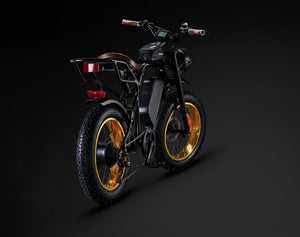 Rocket SX Sport Utility Electric Bike 250W