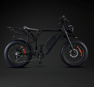 Rocket X Sport Utility Electric Bike 750W