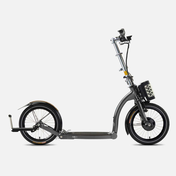 SwiftyONE-E Electric Scooter 250W