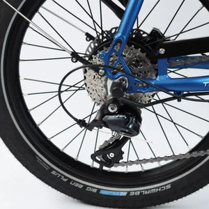 Close-up of the Wisper Tailwind 806 rear wheel showing the Shimano Sora 8-speed derailleur and cassette, and Schwalbe Big Ben Plus tire.